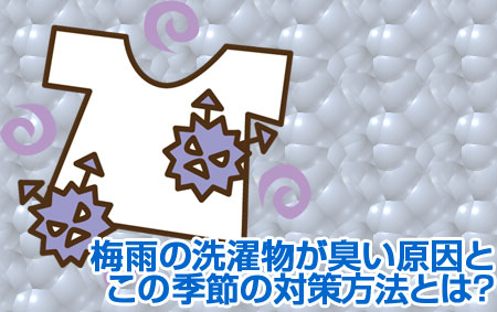 梅雨の洗濯物が臭い 生乾きで乾かない原因とパリっと乾かすための対策方法とは えむずすたいるネット